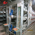 automatic layer poultry cages